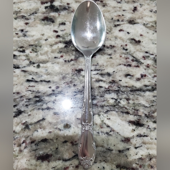 Oneida Finway stainless serving spoon flatware - Picture 1 of 2